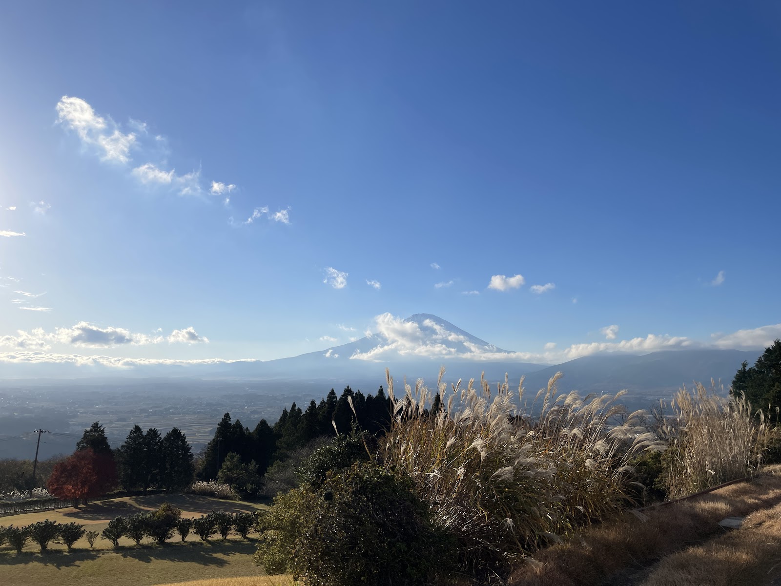 Toname Fuji Country Club - 6