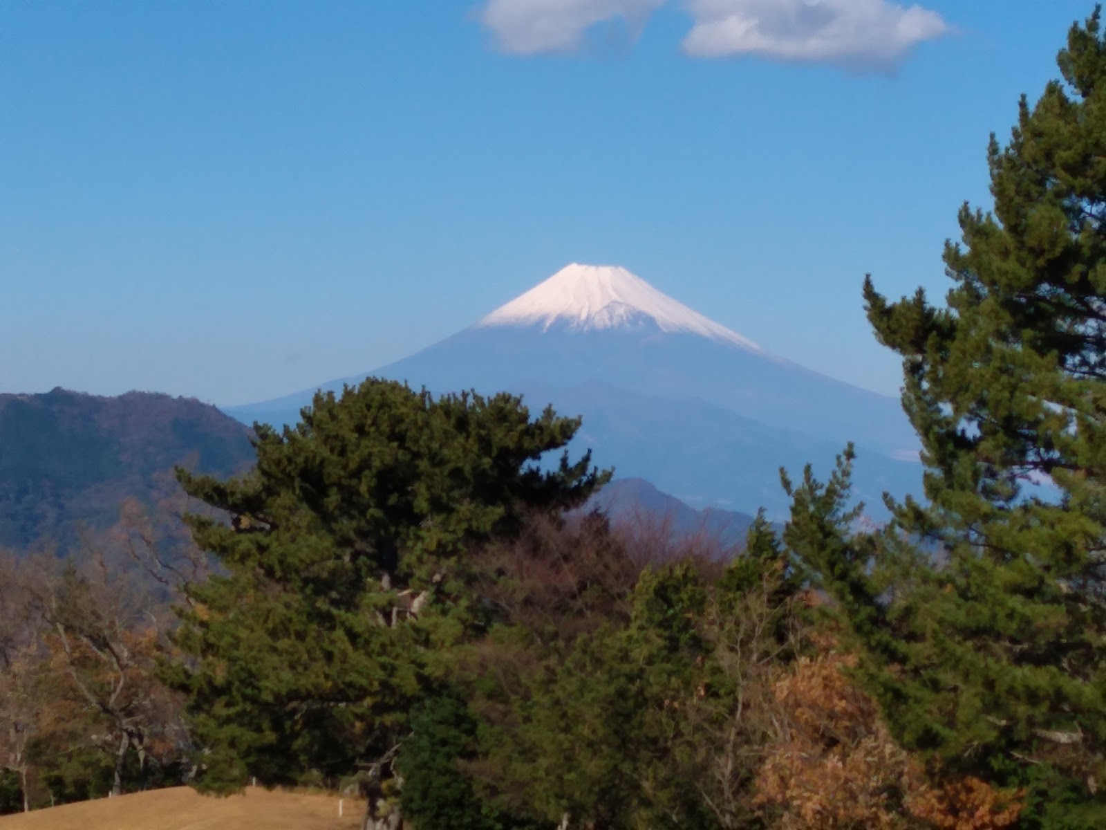 Shuzenji Country Club - 5