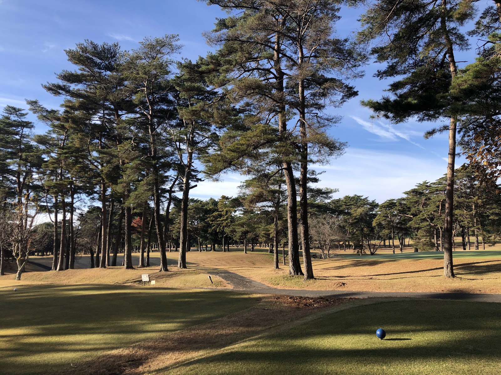 Edosaki Country Club - 3