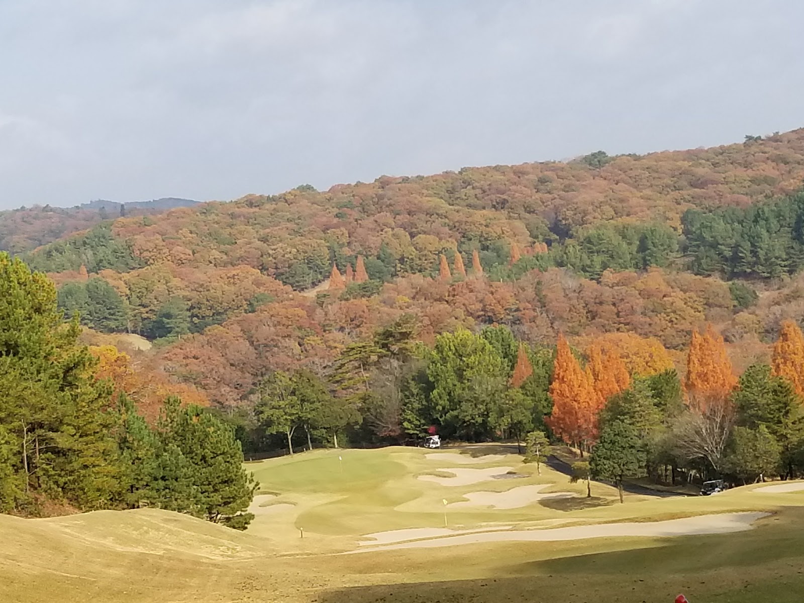 Stork Hill Golf Club - 4