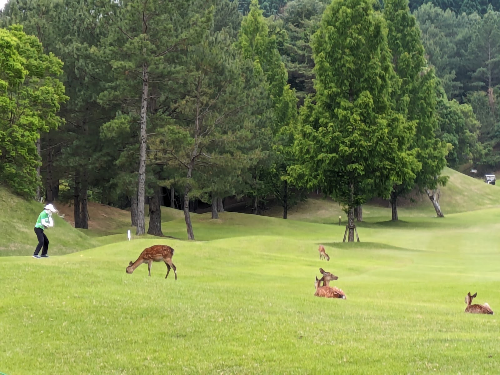 Stork Hill Golf Club - 6