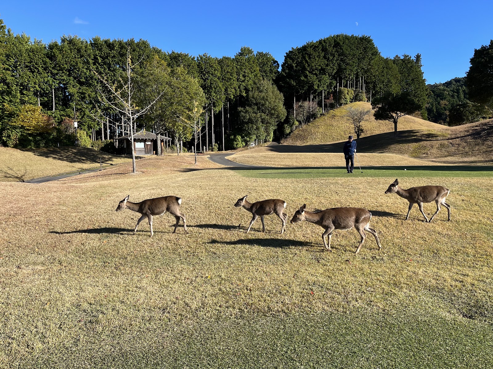 Tsukude Golf Club - 5