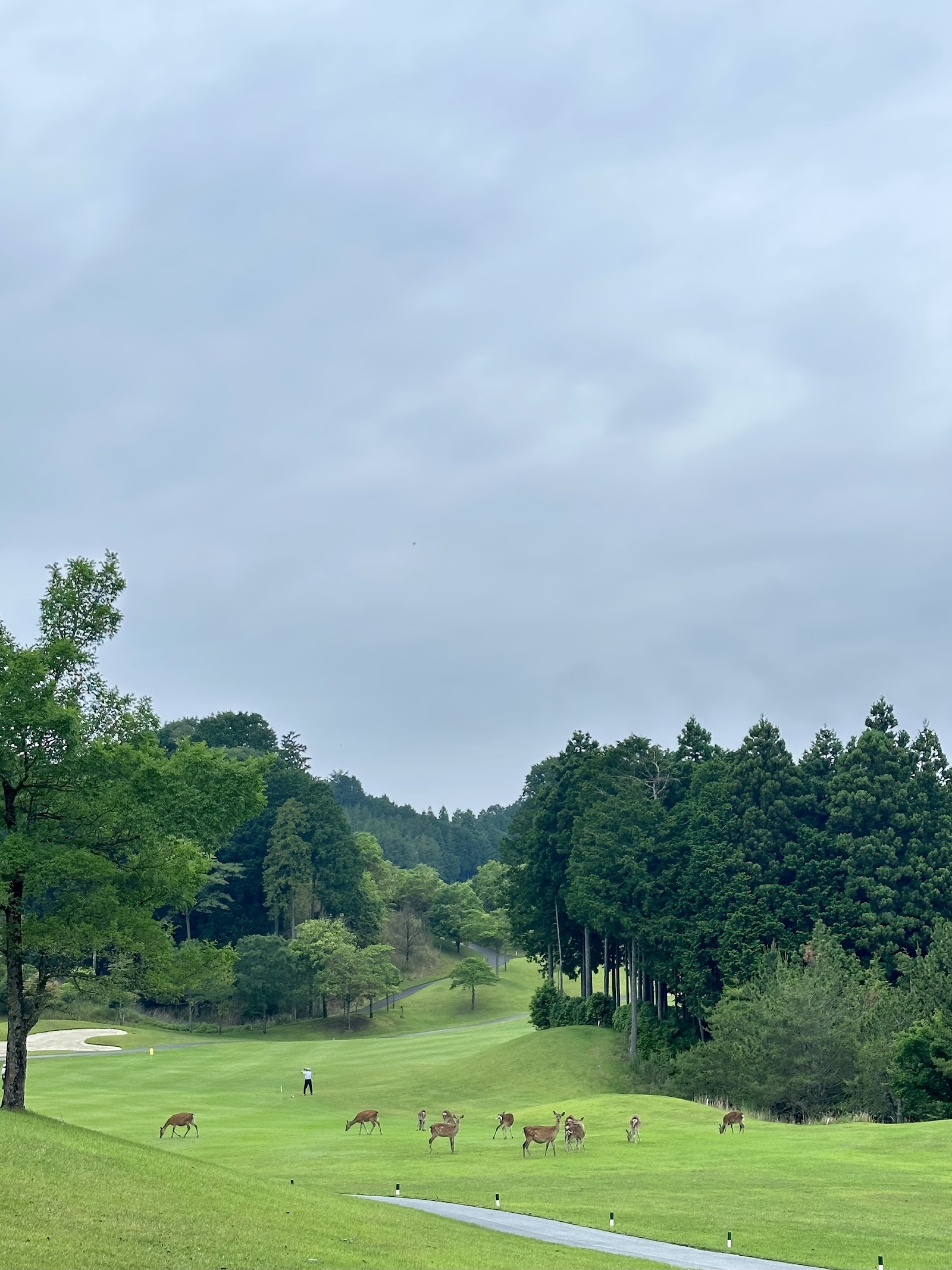 Tsukude Golf Club - 6