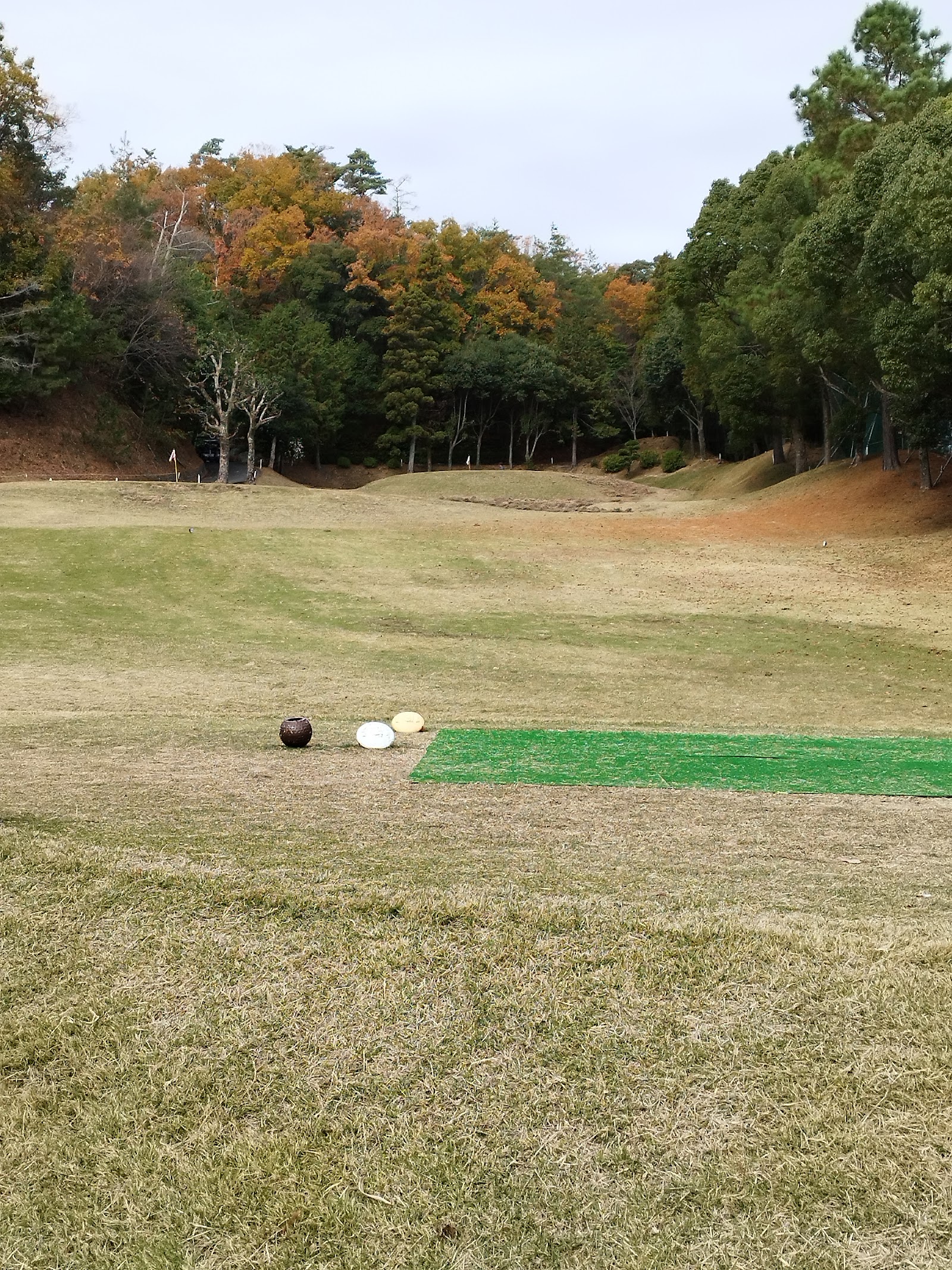 Aigawa GC - 2