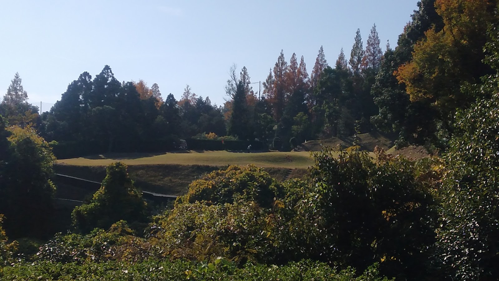 Aigawa GC - 5