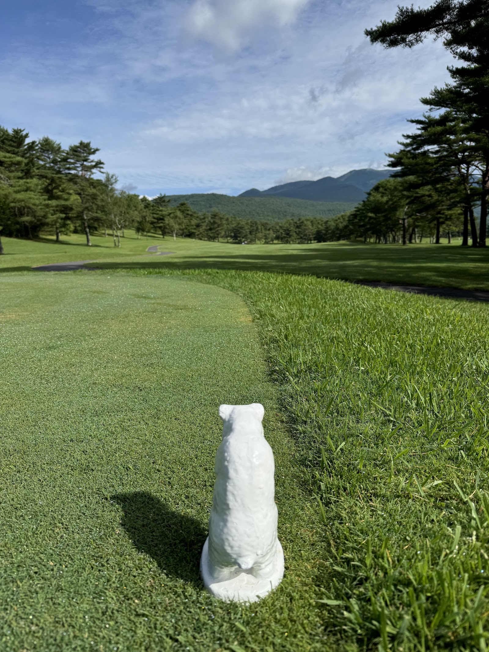 Tsumagoi Kogen Golf Course - 6