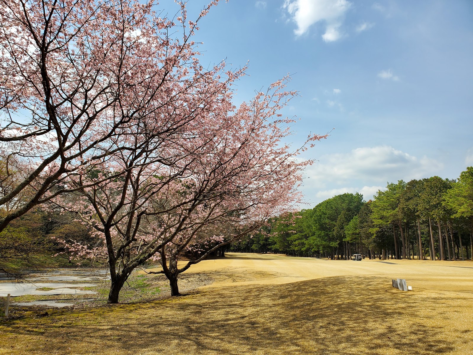 Uchihara Country Club - 3