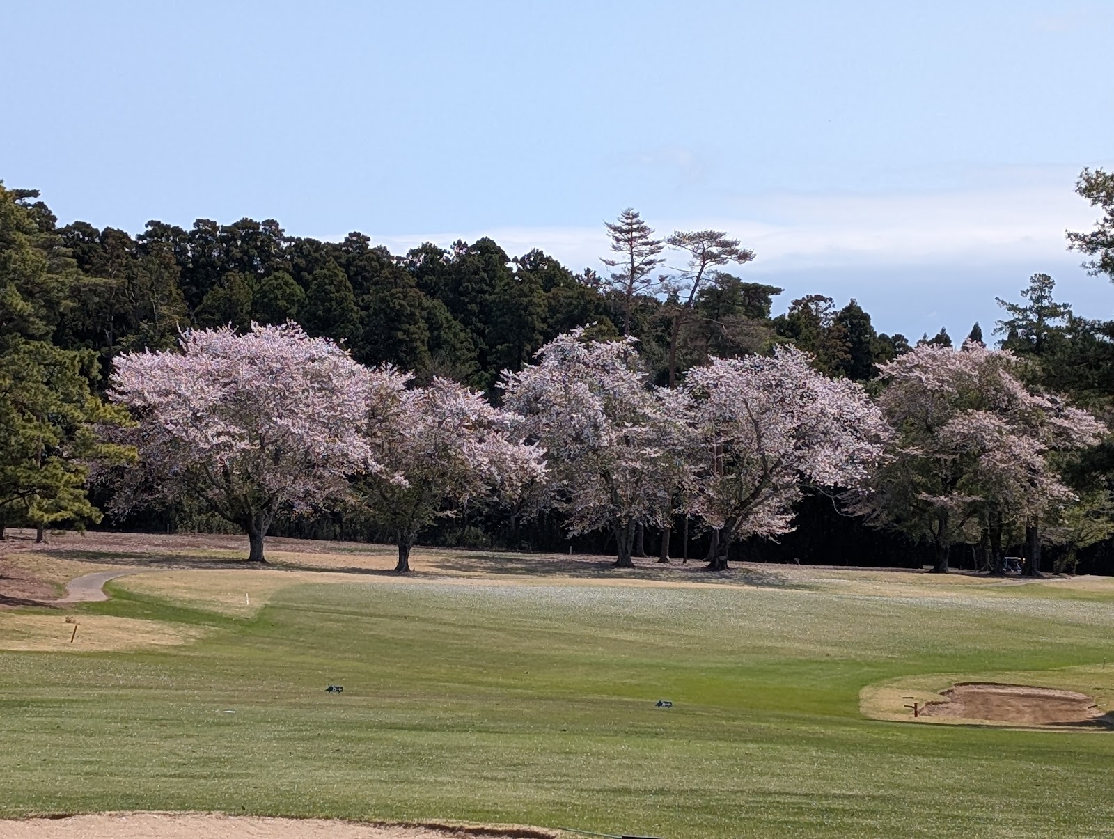 Tsuchiura Country Club - 6