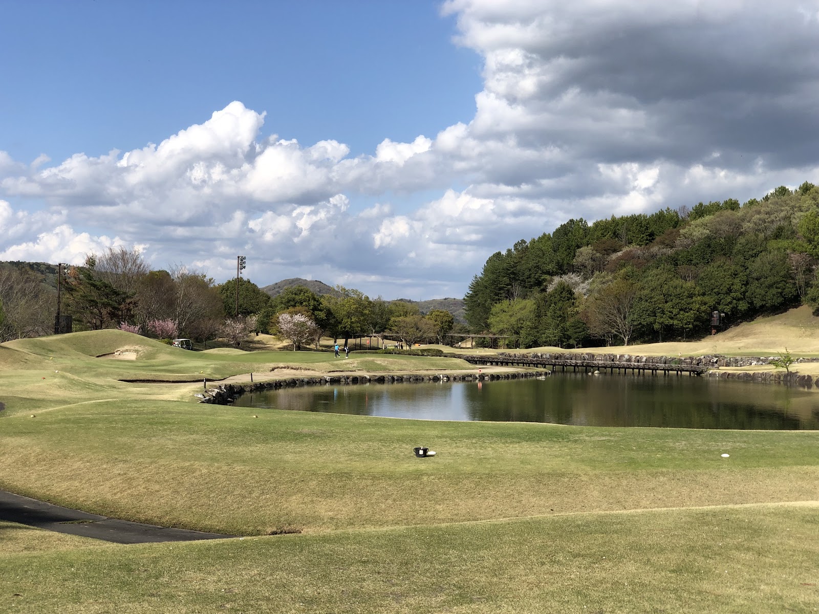 Kasama Royal Golf Club - 4