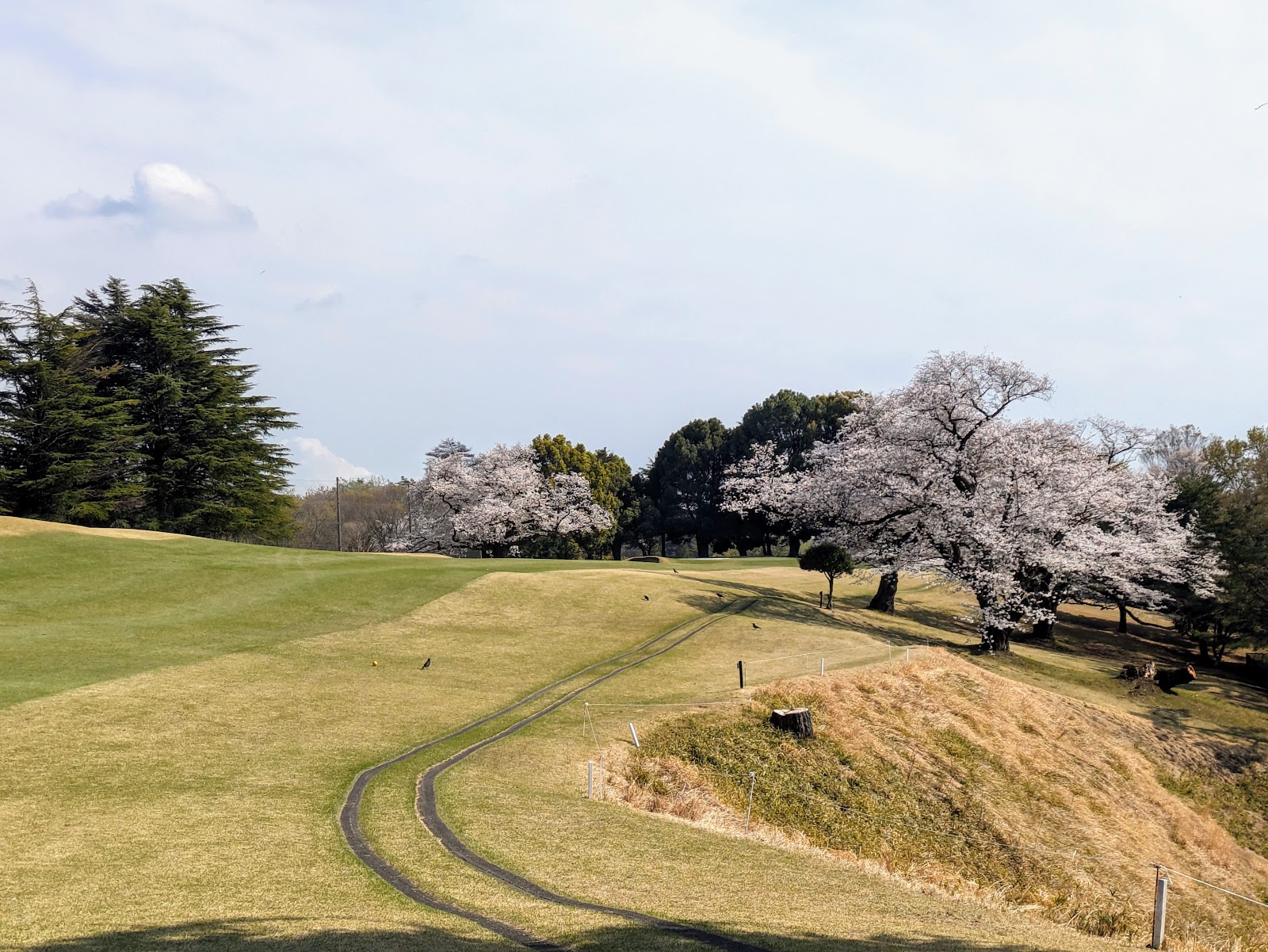 Kawasaki International Ikuta Ryokuchi Golf Course - 6