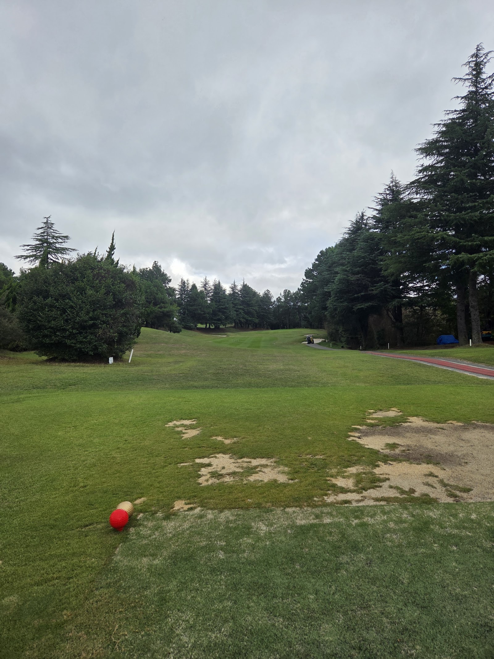 Osaka Public Golf Course - 6
