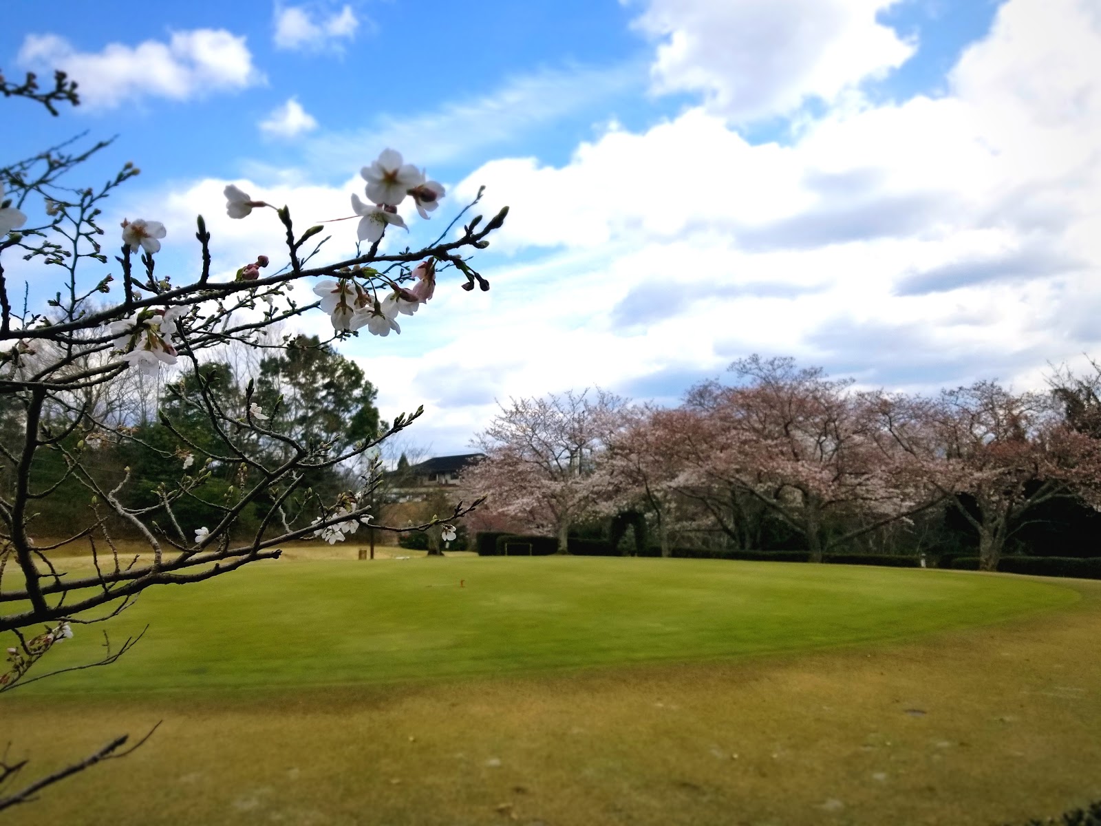 Nara Country Club - 4