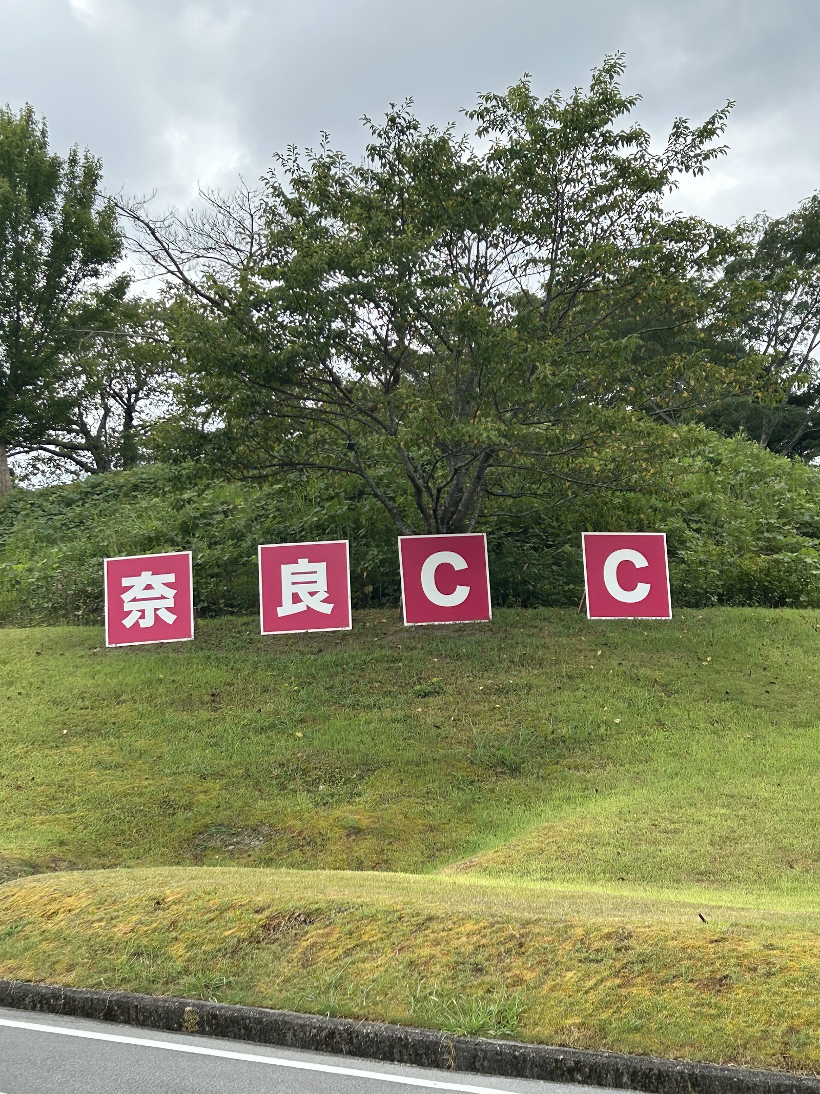 Nara Country Club - 6