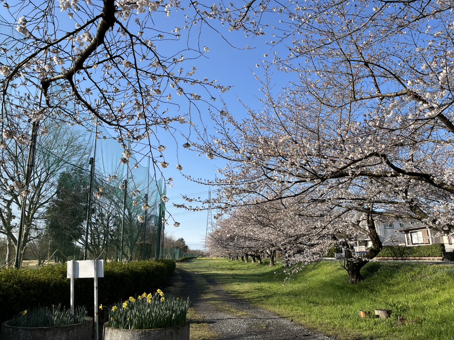 Sayama Riverside Golf Course - 3
