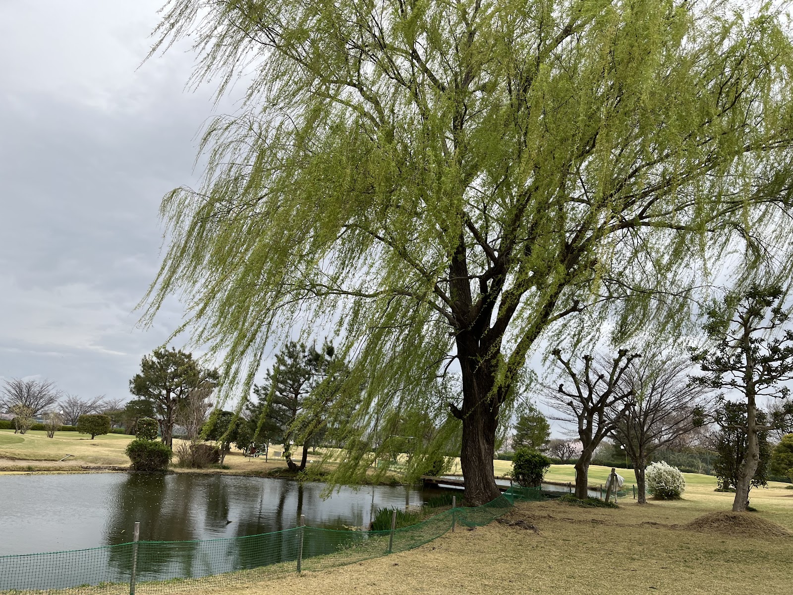 Sayama Riverside Golf Course - 5