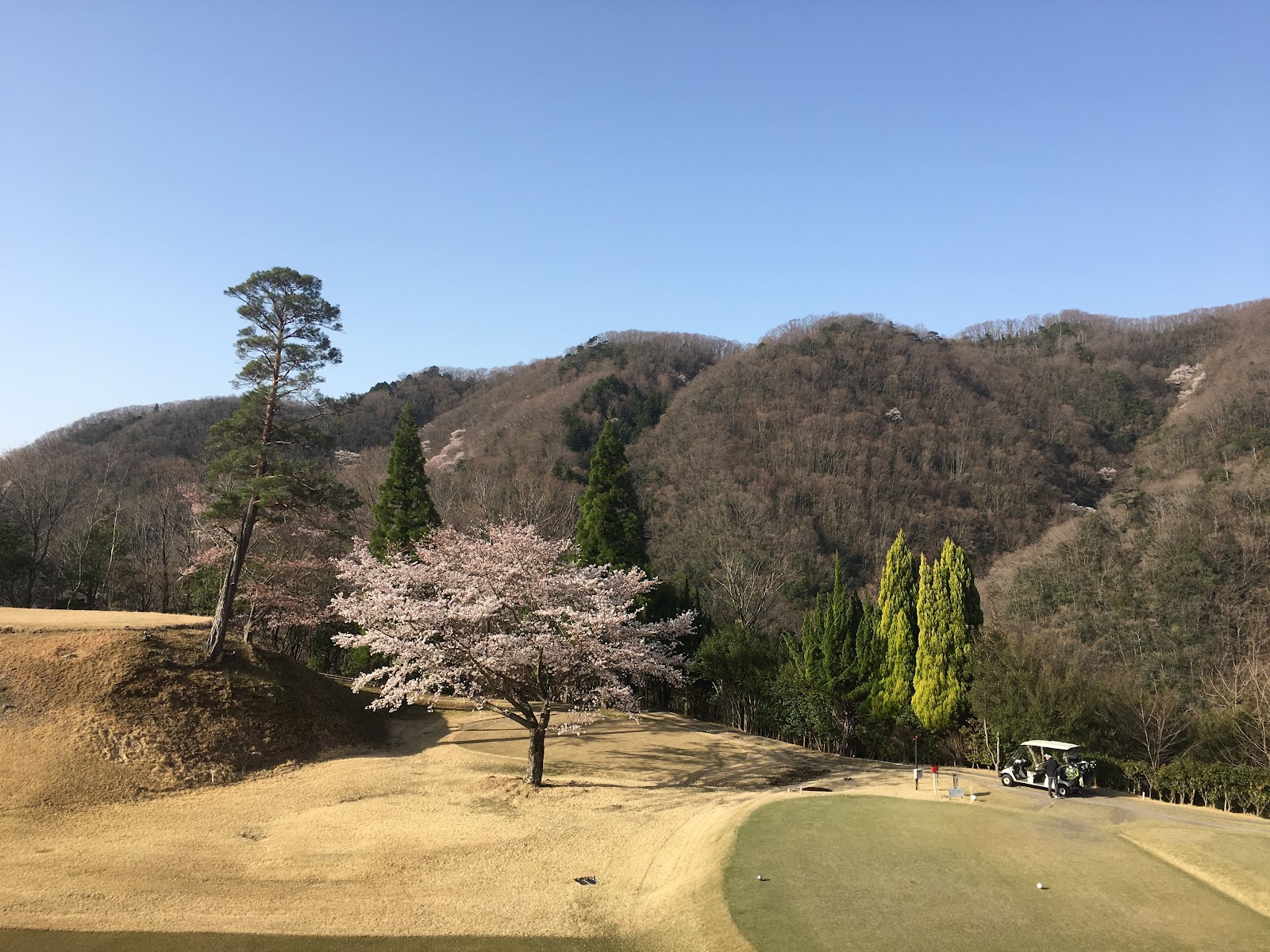 Cherry Golf Course