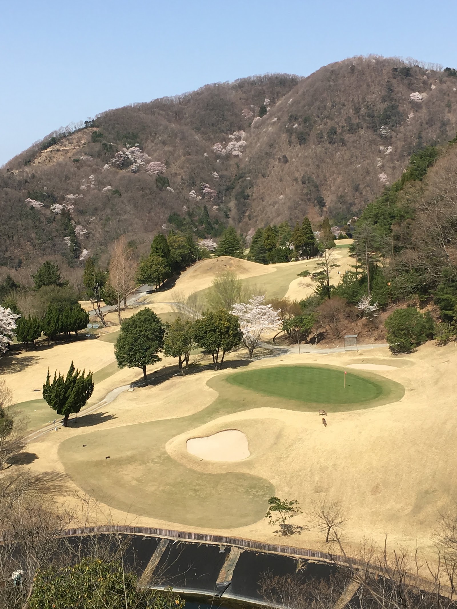 Cherry Golf Course - 5