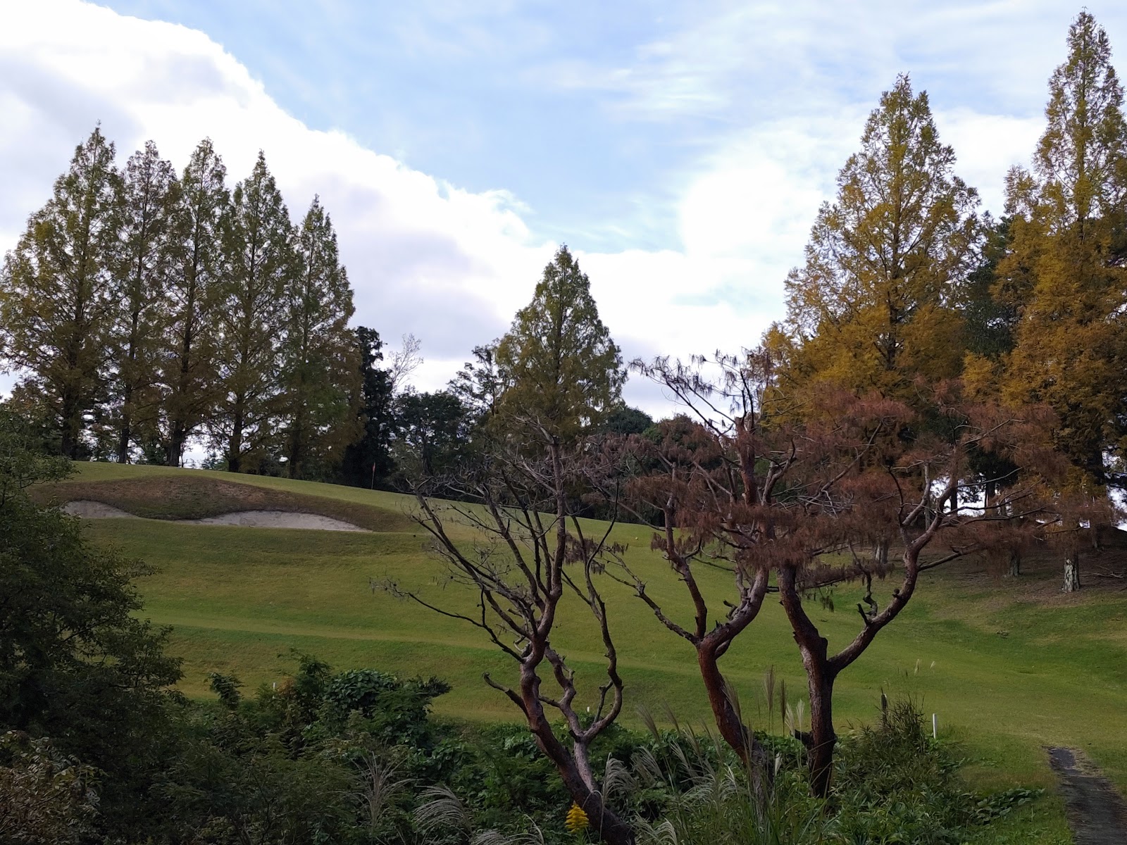 Sanda Golf Club - 5