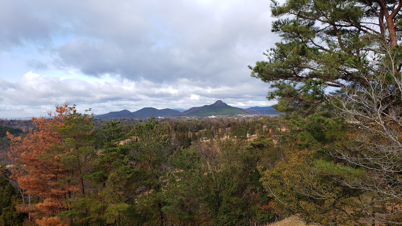 Arima-Fuji Country Club - 4