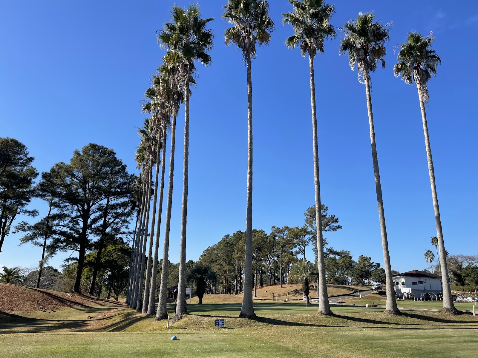 Miyazaki international Golf Club - 5