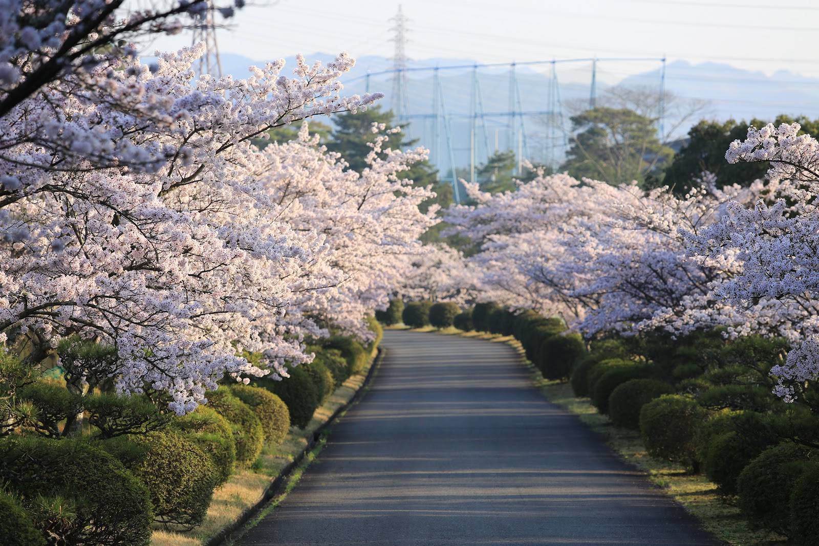 Arima Country Club