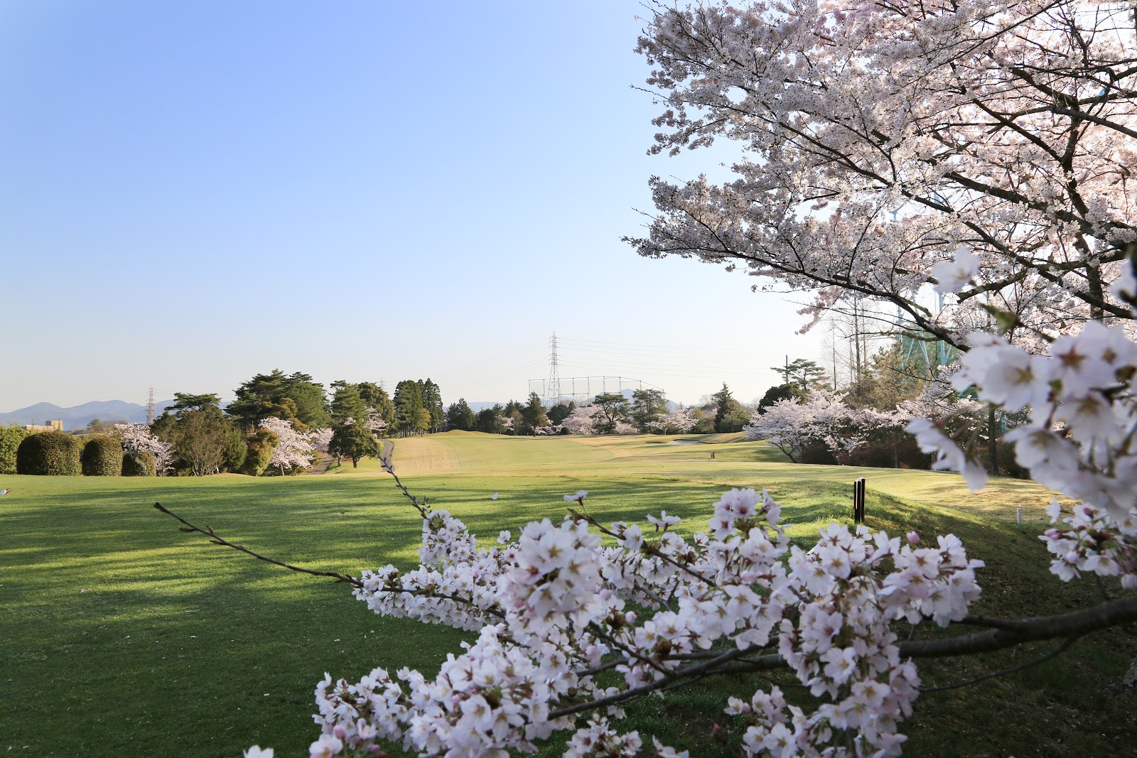Arima Country Club - 5