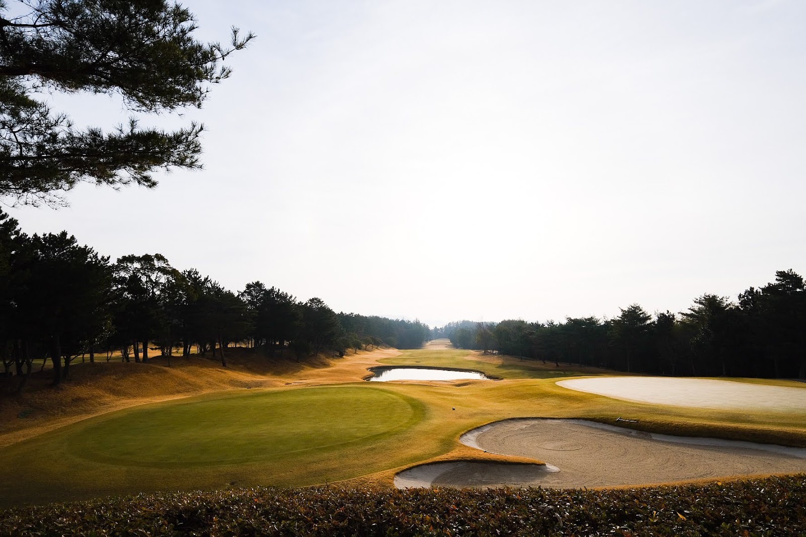 Masters Golf Club - 3