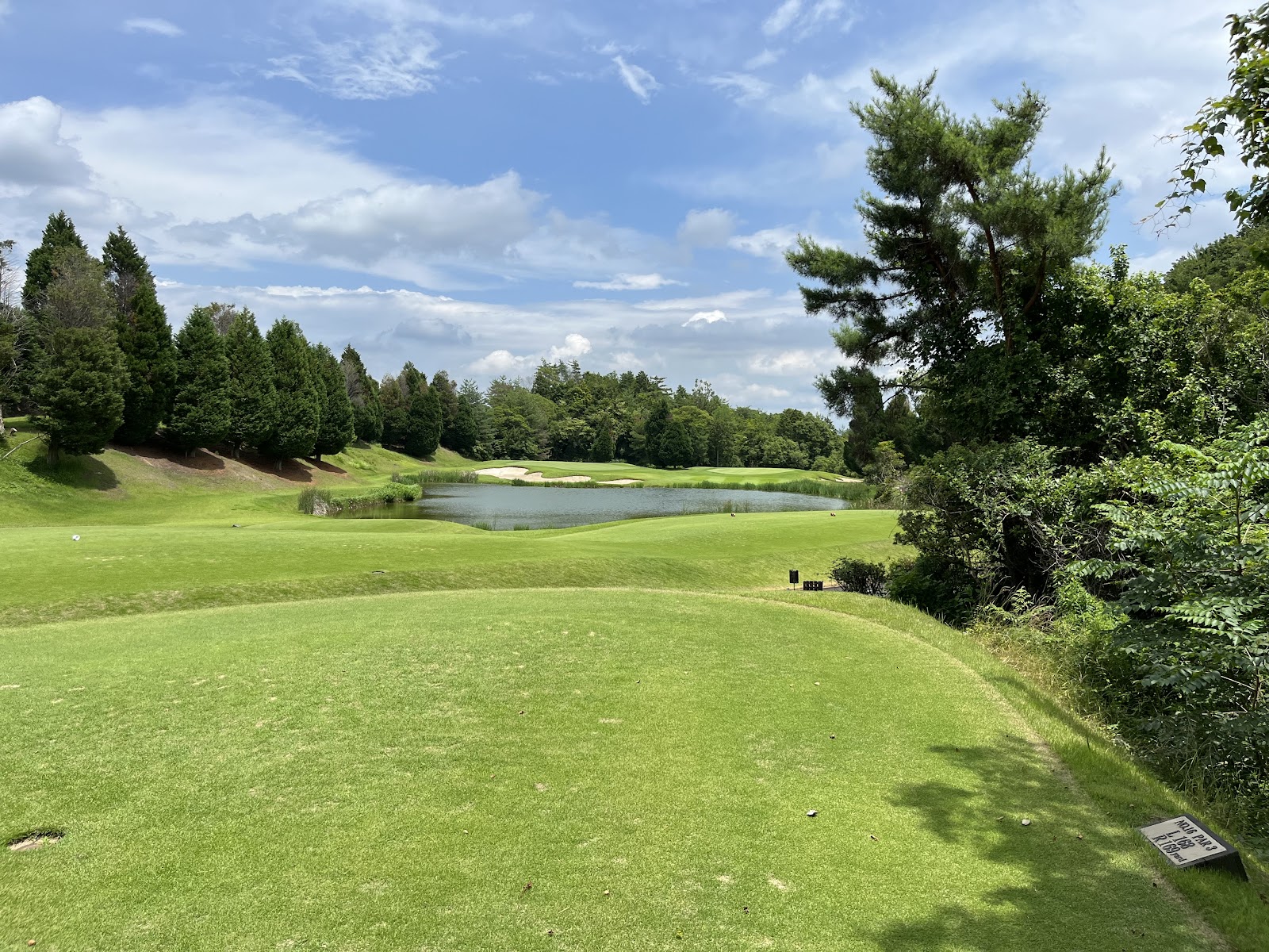 Century Miki GC