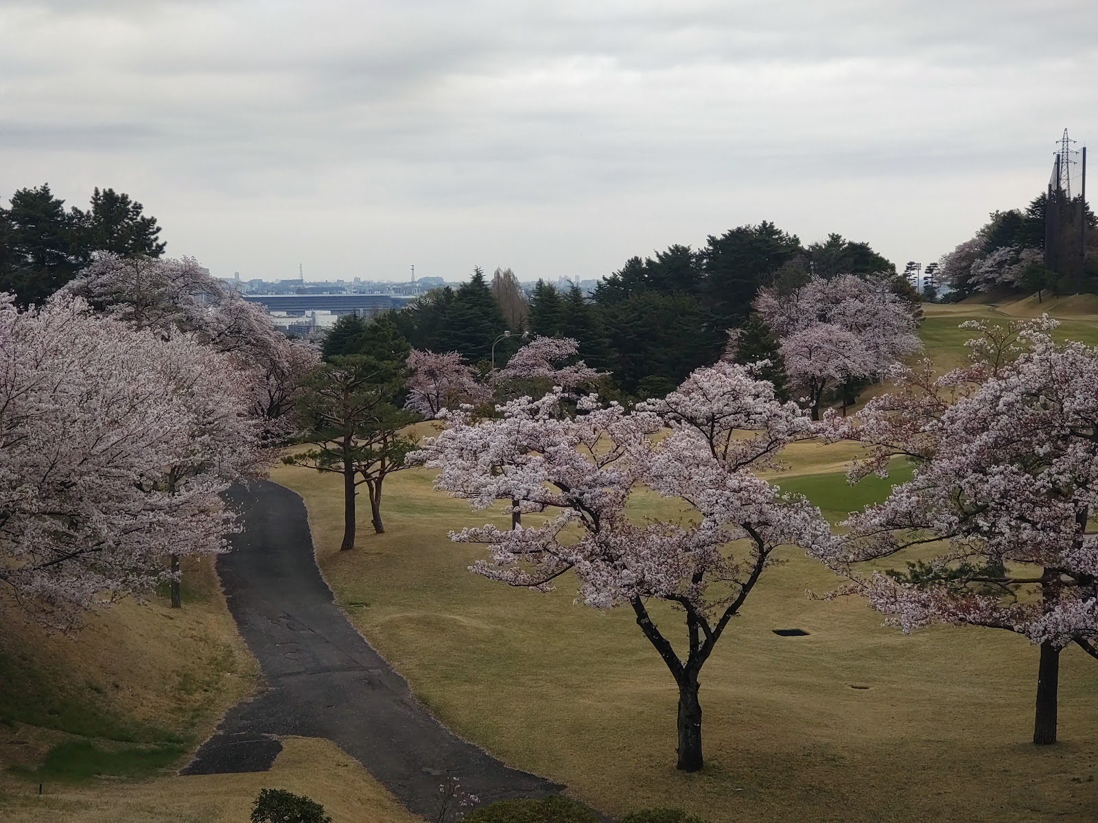 Sakuragaoka Country Club - 3