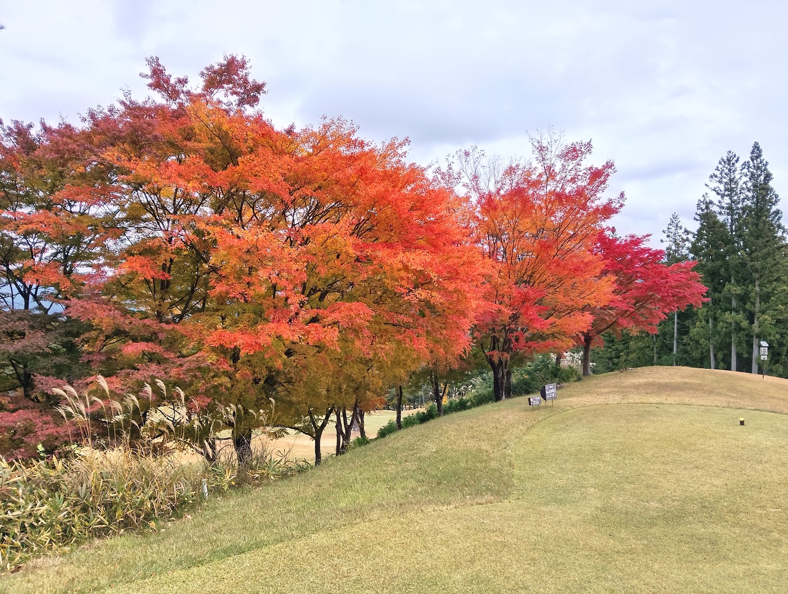 Nagura Country Club - 6