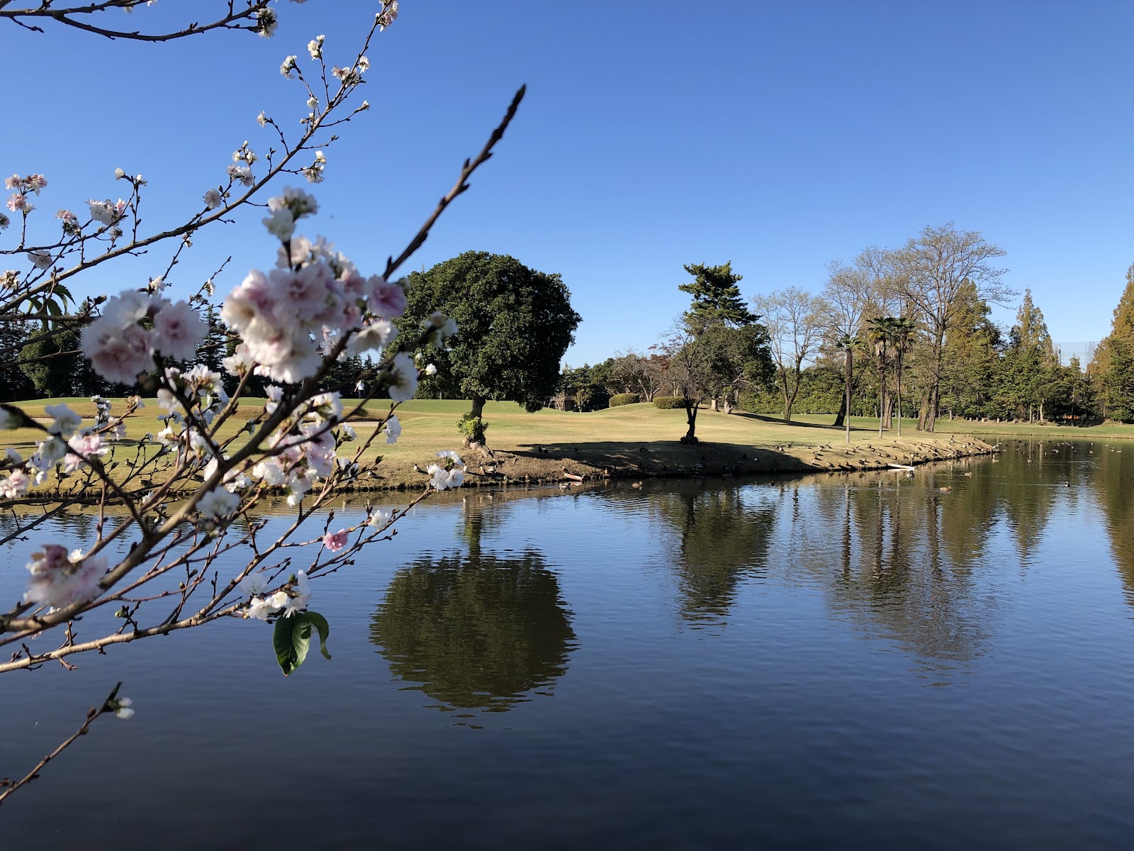 Konosu Country Club - 3