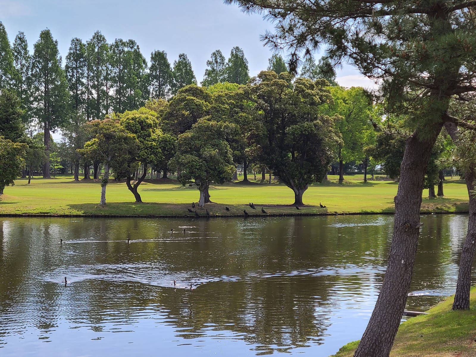 Konosu Country Club - 4