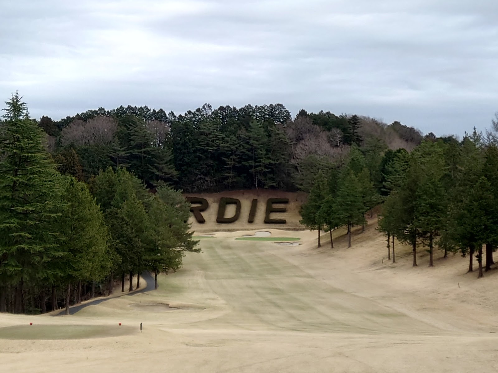 Tokyo Birdie Club - 6