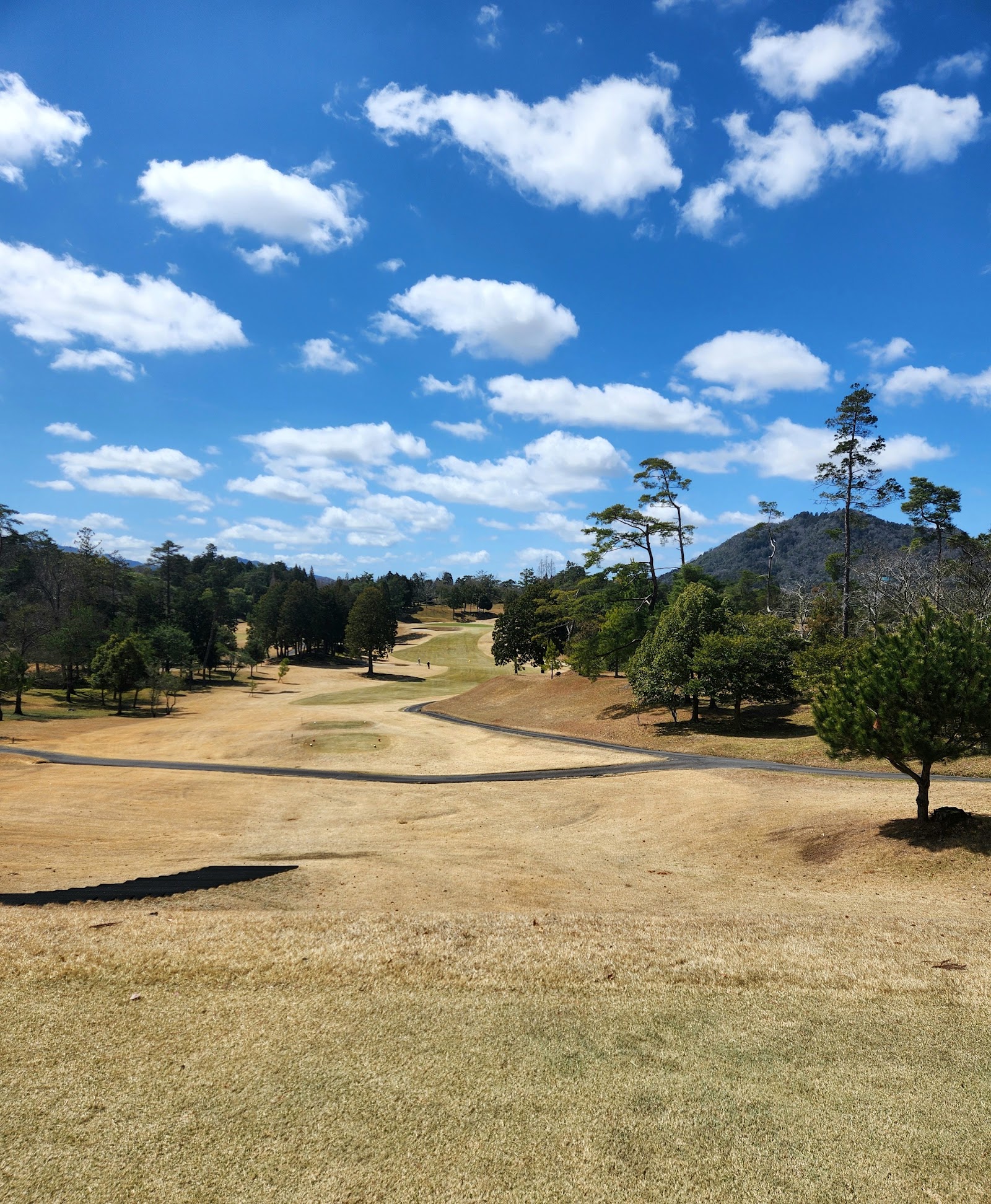 Omi Country Club - 3