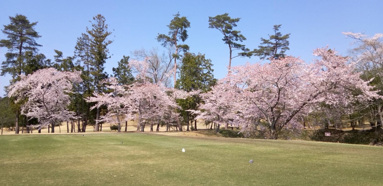 Omi Country Club - 4