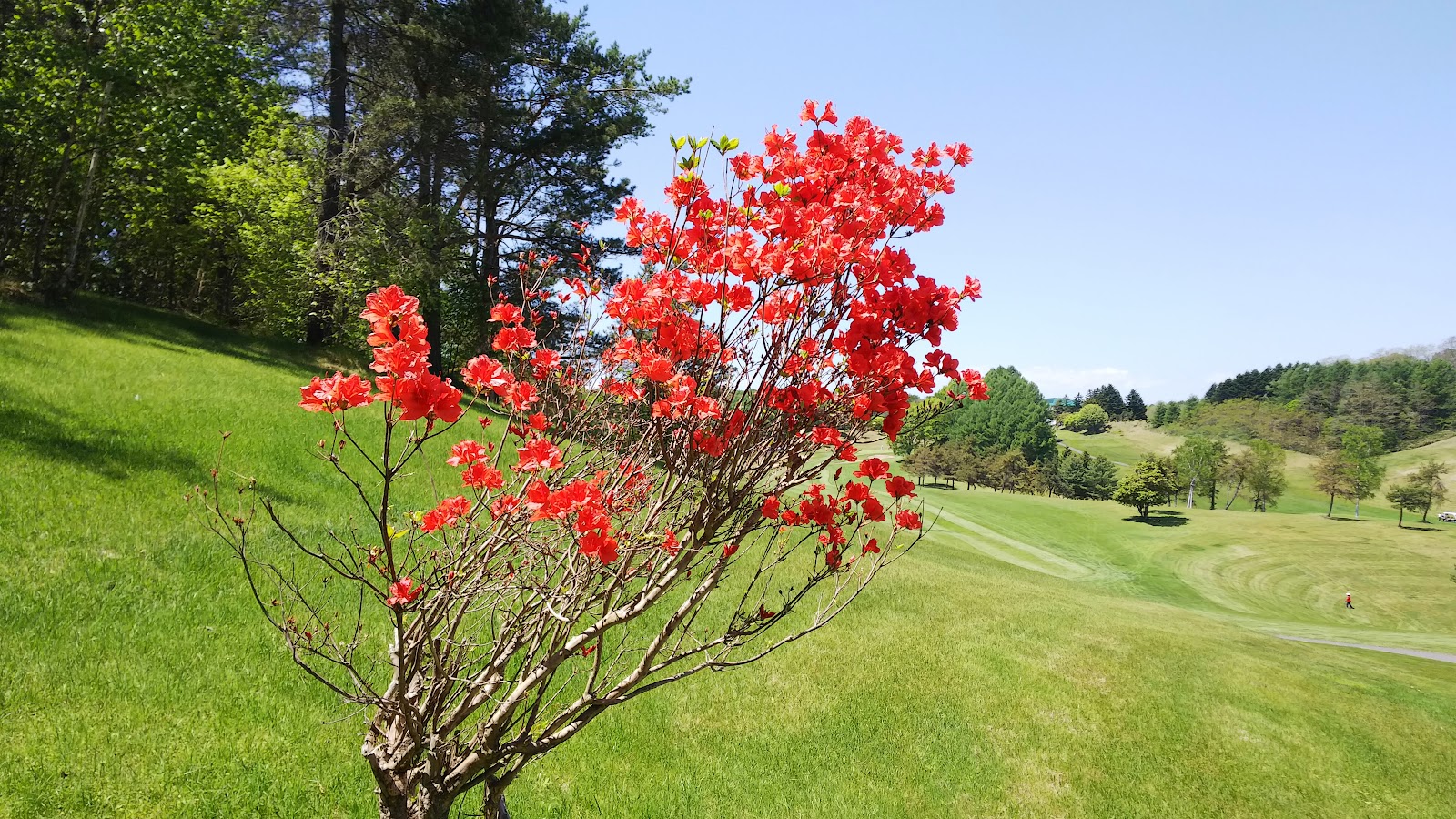 Sapporo Fuyo Country Club - 3