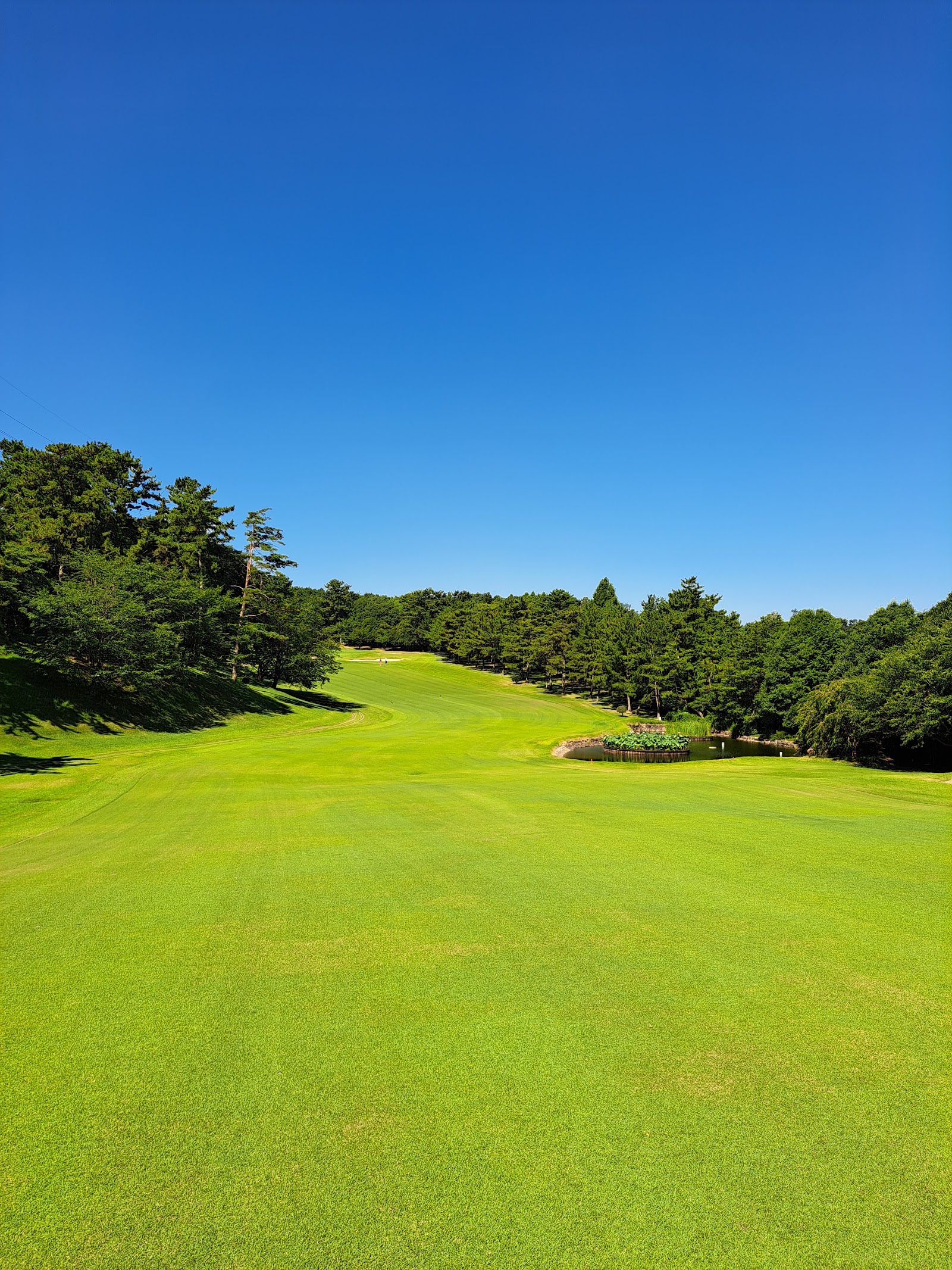 Shonan Country Club - 3