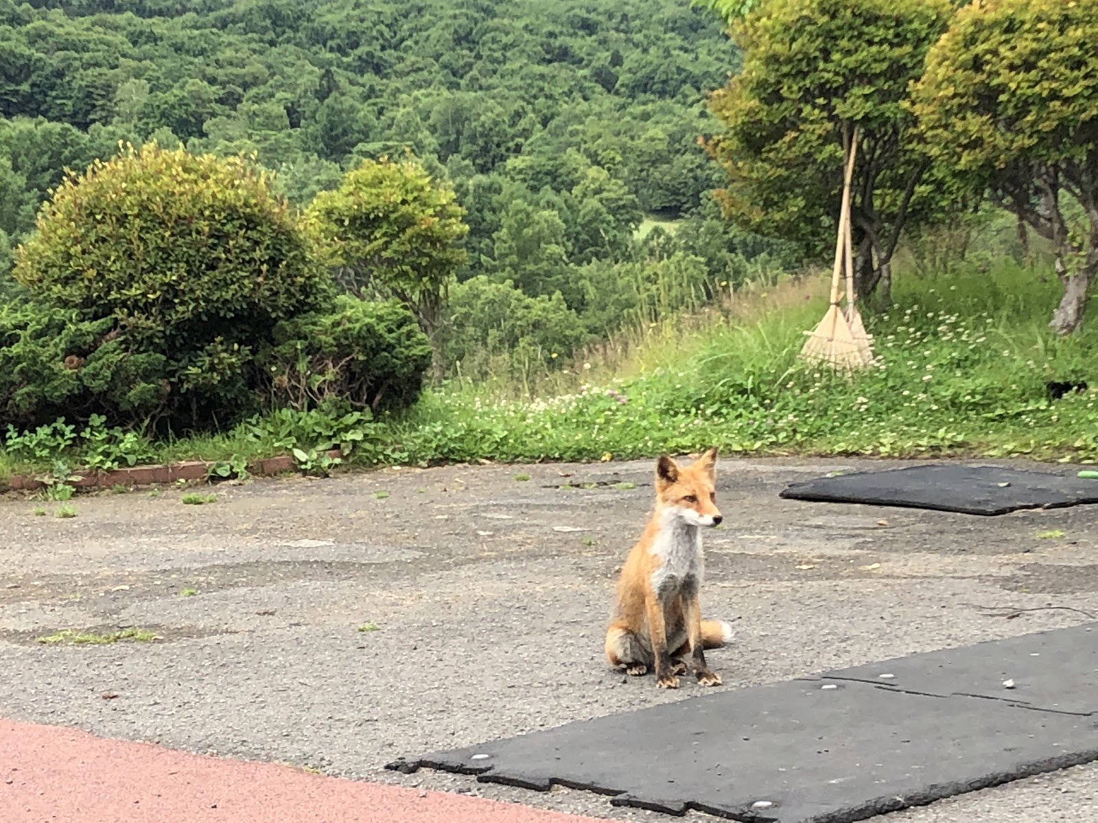 Sapporo Suzuran Country club - 3