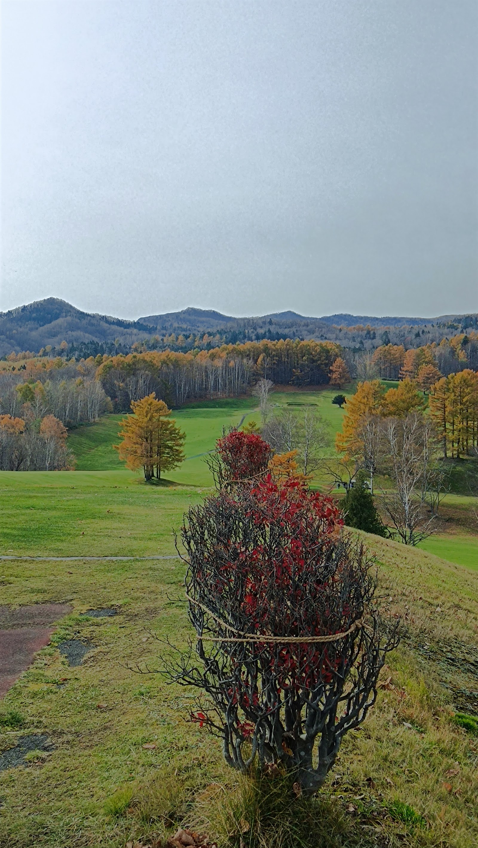 Sapporo Suzuran Country club - 5