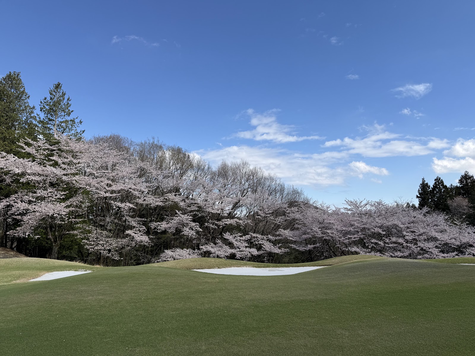 Taiheiyo Club Yachiyo Course - 5
