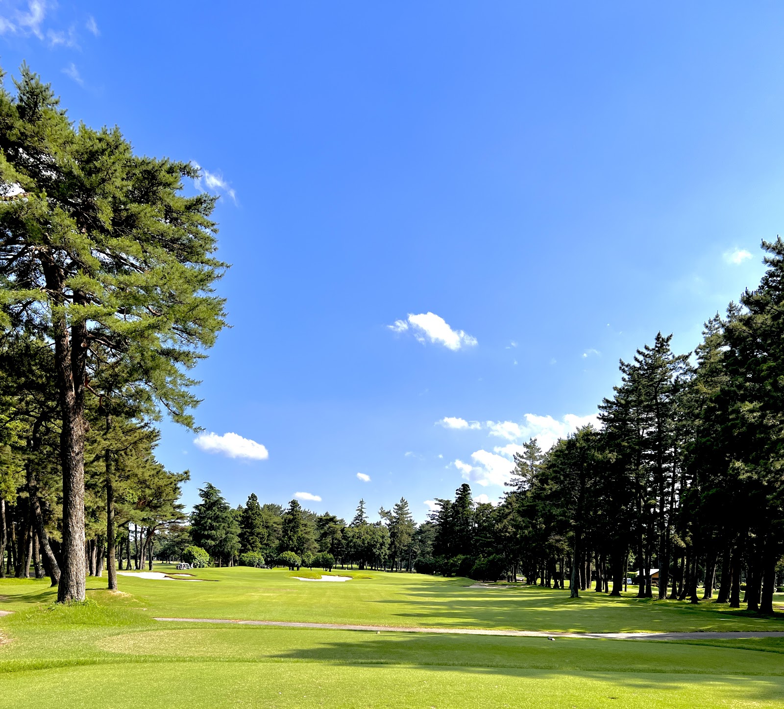 Narashino Country Club King Queen Course - 2