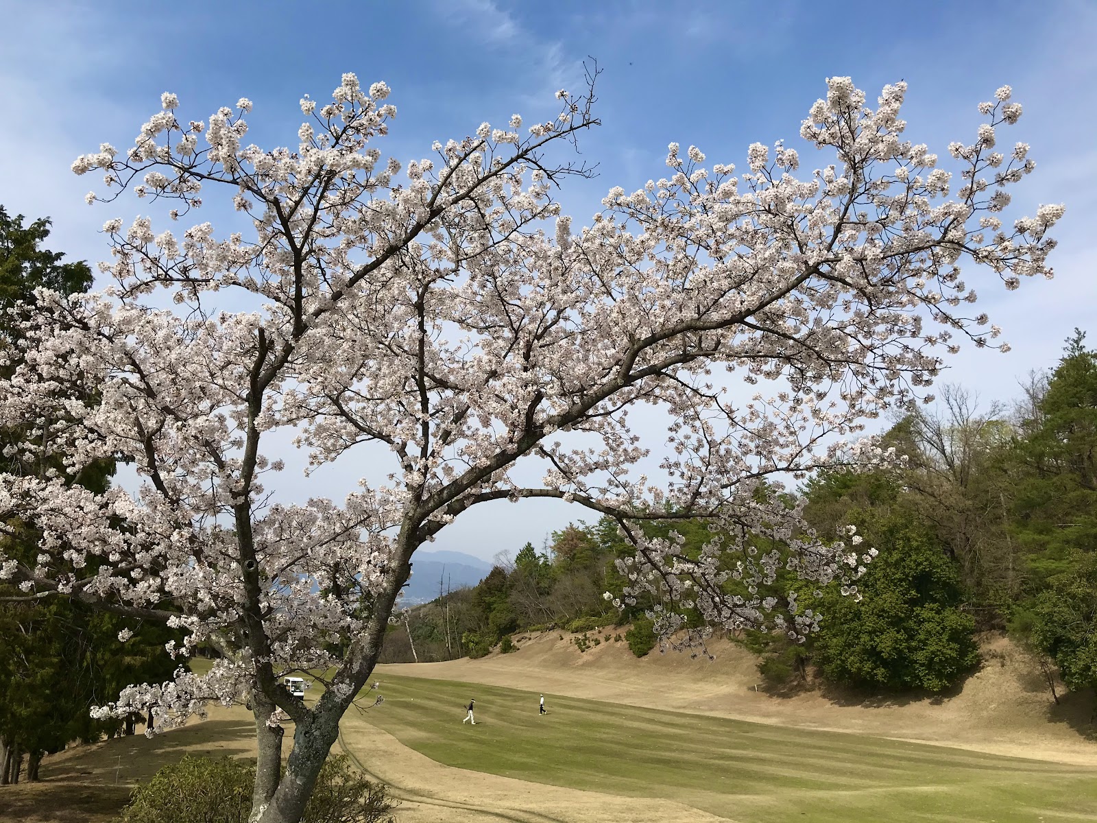 Uji Country Club - 4