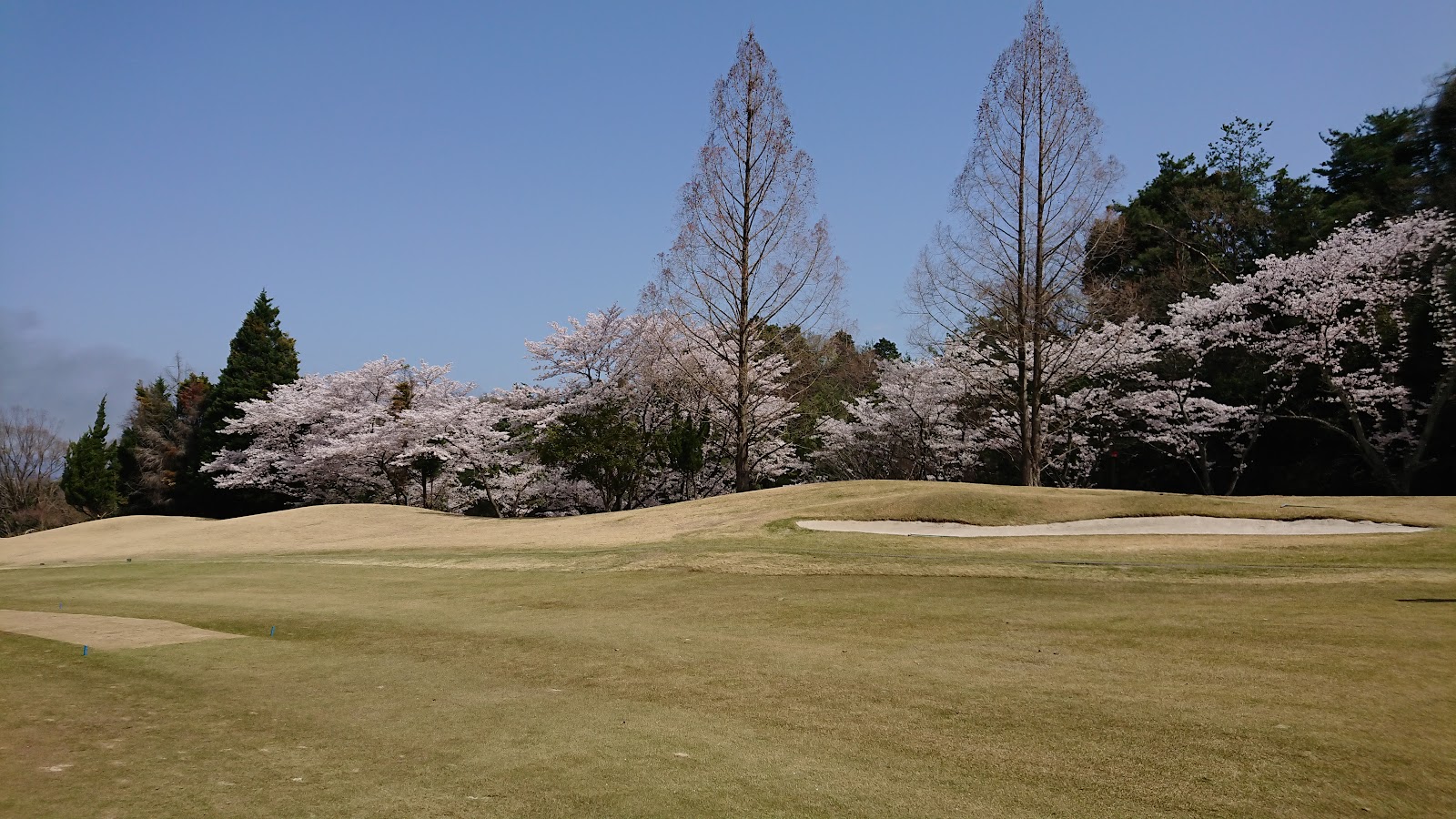 Uji Country Club - 6