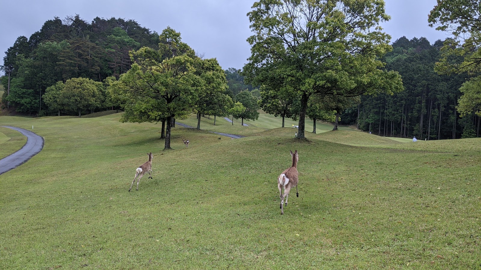 Sorei Golf Club Tsuchiyama Course - 5