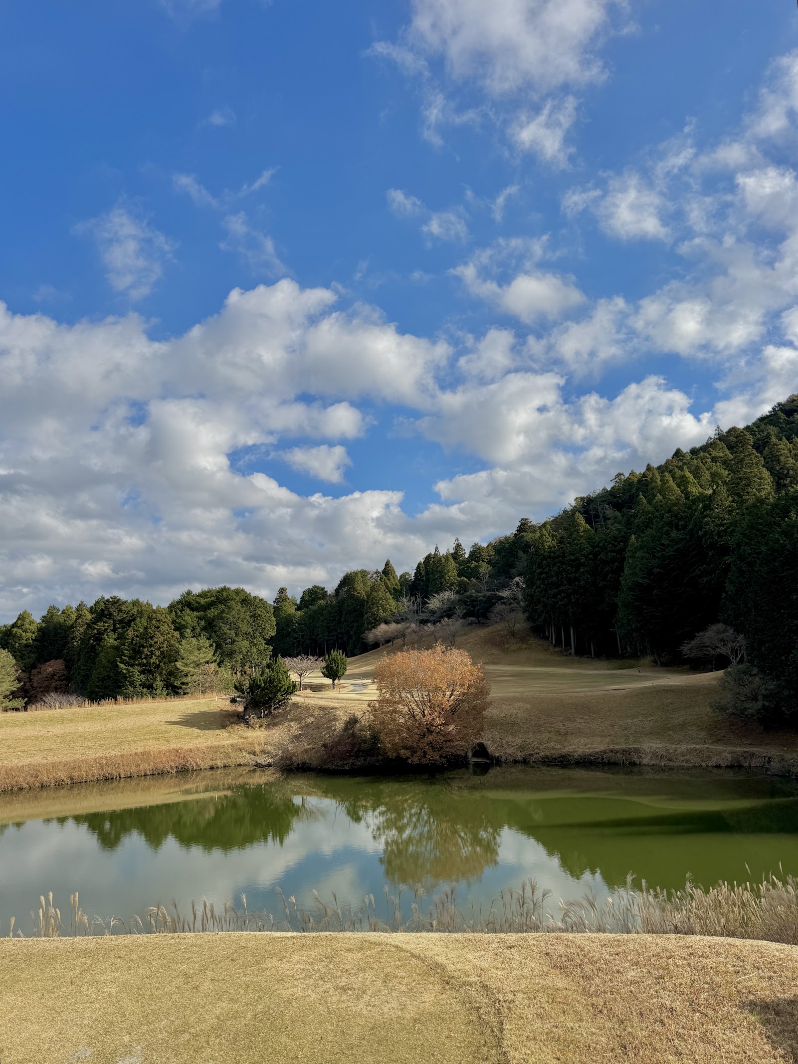 Akiba Golf Club - 4