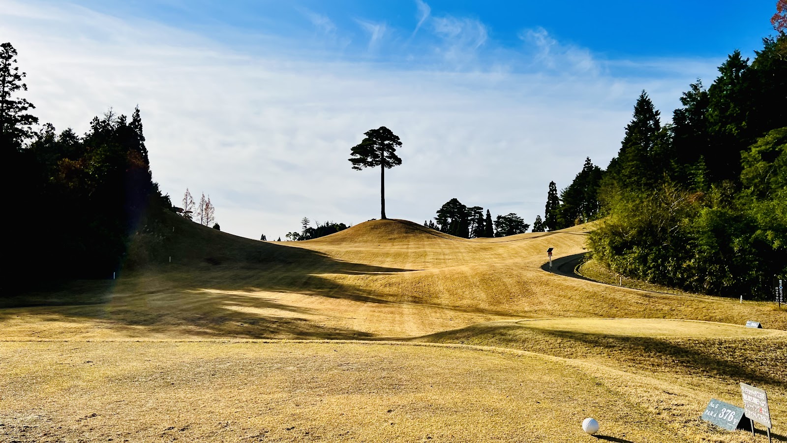 Comwood Golf Club - 2