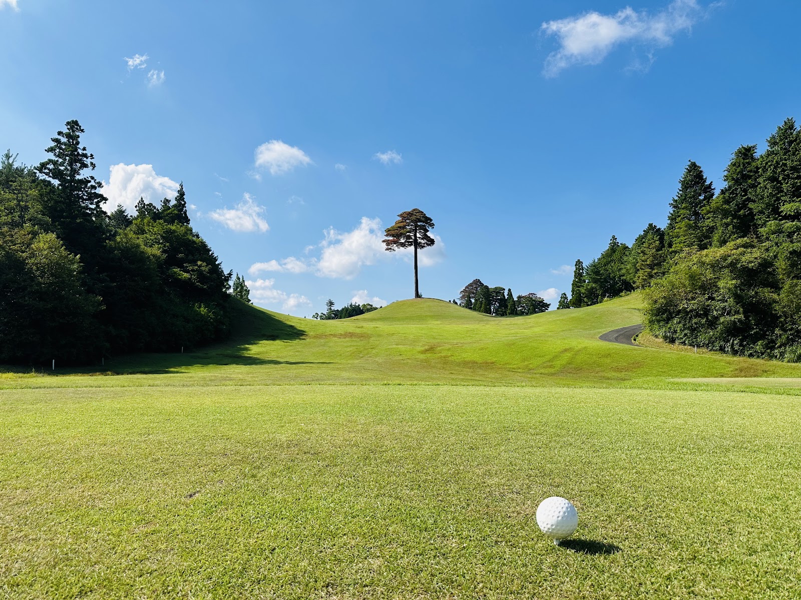 Comwood Golf Club - 6