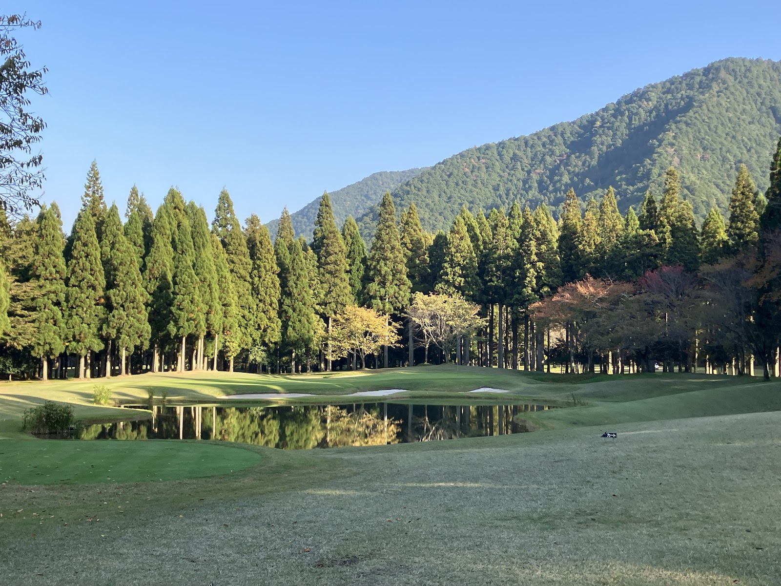 The Cypress GC