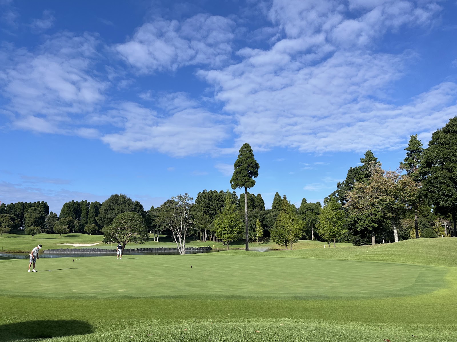 Nouvelle Golf Club
