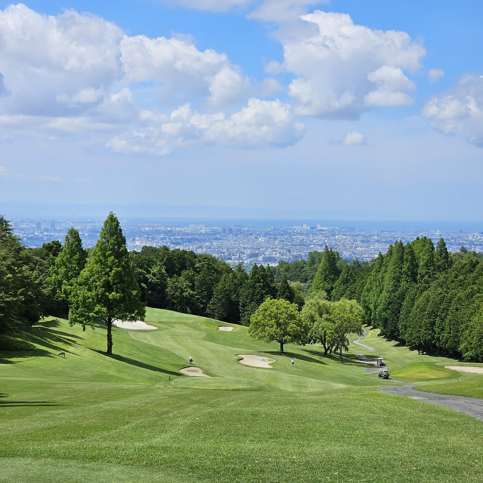 Ikeda GC